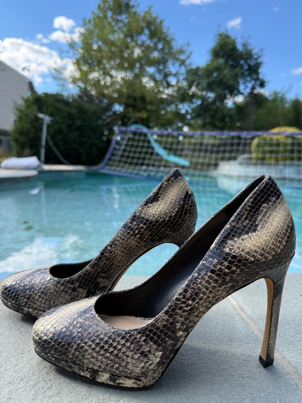 Via Spiga women’s shoes snake Print Leather Pumps Heels Black Gray. Size 6.5.